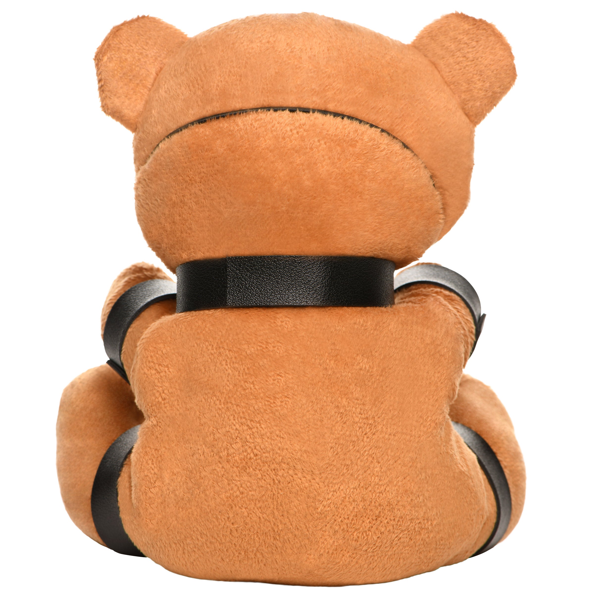 Gagged Bondage Bear