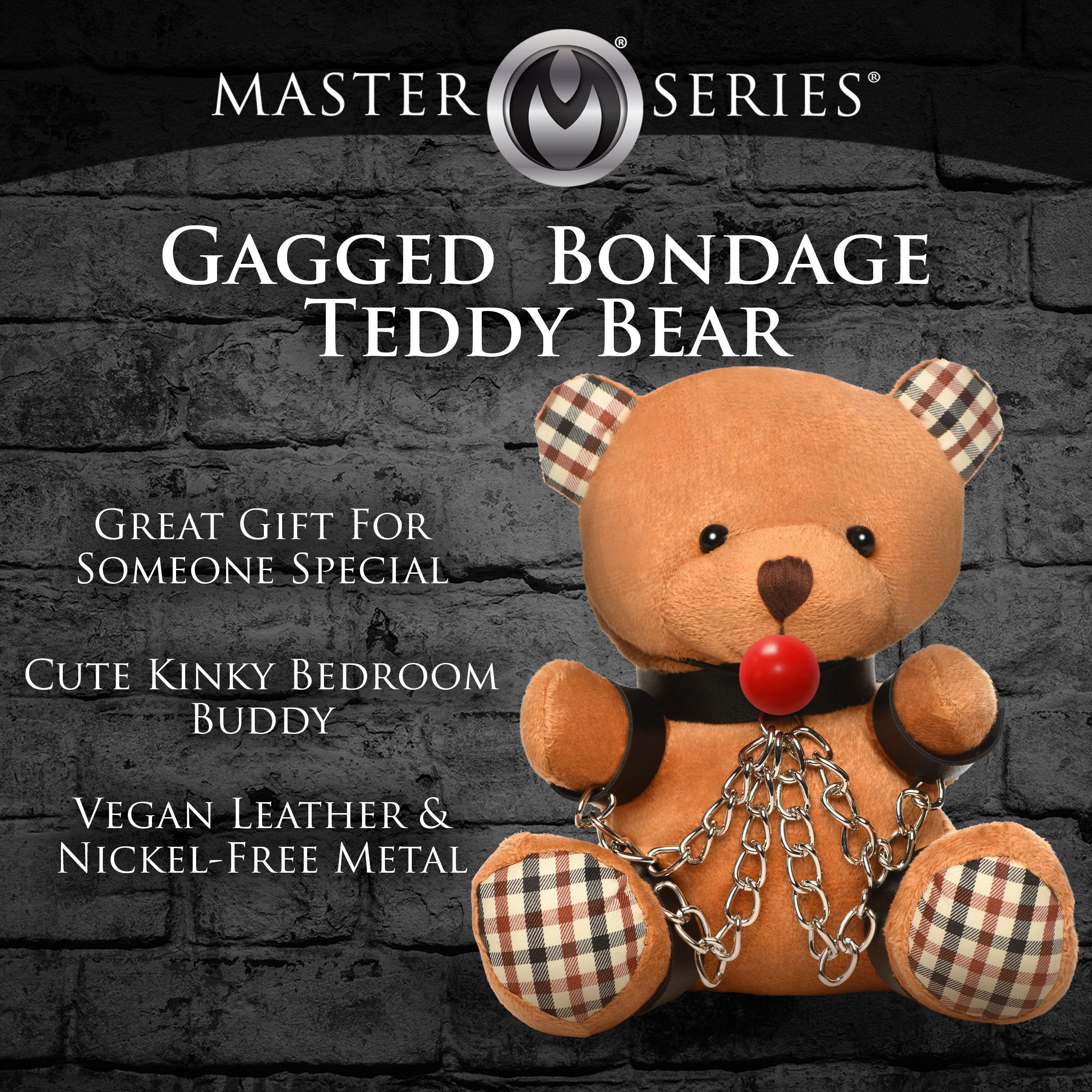 Gagged Bondage Bear