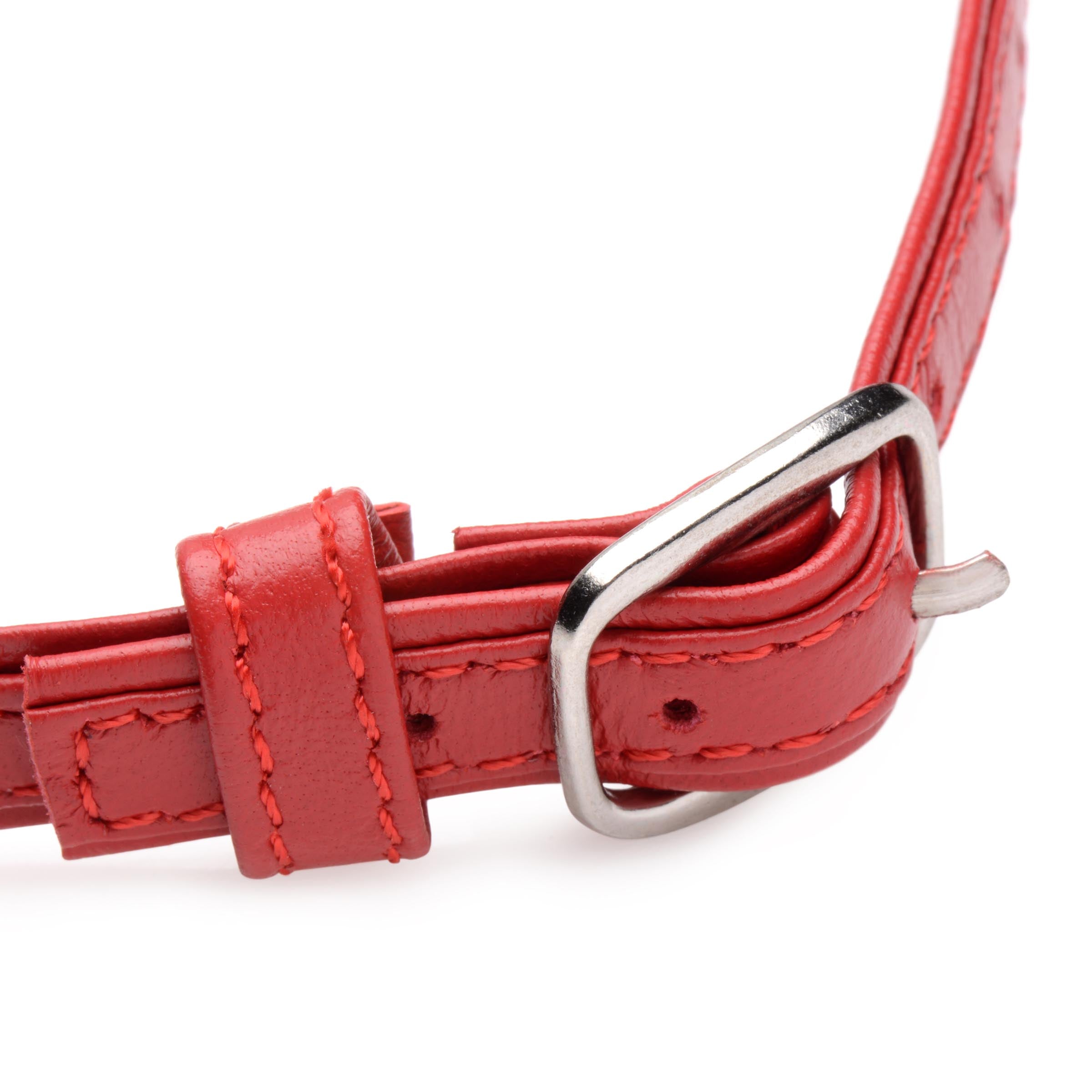 Fiery Pet Leather Choker with Silver Ring