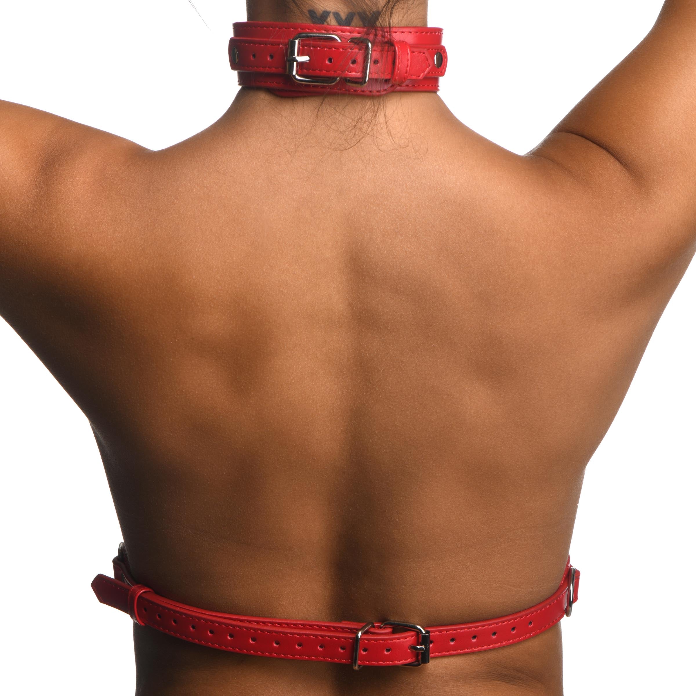 Red Female Chest Harness Small/Medium